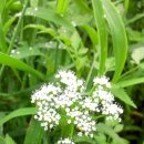 경택농장 이미지