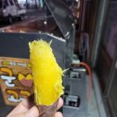 남항초등학교 이미지