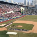 309 | 잠실 1루 네이비석 309블럭 14열 솔직 후기 (시야·응원·먹거리 몽땅 정리)