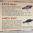 동광장주유소 | 대전역맛집 해물찜 장가네대구왕뽈데기 웨이팅 대전성남동맛집