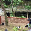 송림농원 이미지