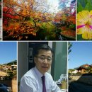 GS25(김해골든루트점) 네이버블로그