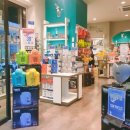 비올레띠 이미지