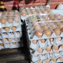 꼬마김밥&컵밥 이미지