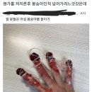 봉숭아물 이미지