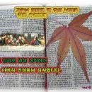 Brilliant Light 이미지