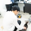 천운 이미지