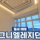 더블하이공인중개사사무소 이미지