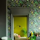 포인트 무드 이미지