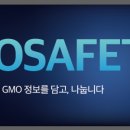 보람세이프티