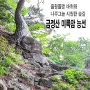 호젓하고 여유로운 산행-금정산 미륵암능선과 쇠미산 이미지