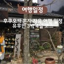 후쿠오카 혼자 자유 여행 일정 유후인 3박4일 코스
