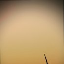 썬온비펜션 이미지