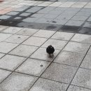 홍당무컴퍼니 이미지