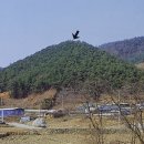 왕자수견태실비 (태봉석비) 네이버블로그