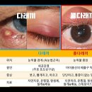 자연치유약국 이미지