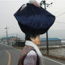 비키2 이미지