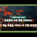 감 익는 마을은 어디나 내 고향/유안진(김영옥의 시가 머문 자리 36) 이미지