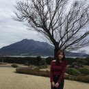 풍요의 정원 | 사쿠라지마가 정면으로 보이는 정원, 가고시마 센간엔 후기