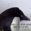 화