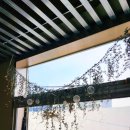 오늘도, ODO 이미지