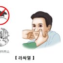 라싸열(Lassa fever ) 이미지