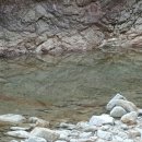 고고푸드 이미지