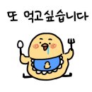 샐러데이Saladay