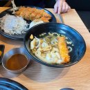 11500-19-50-11 이미지