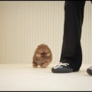 퍼피엘르