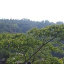 담양송죽헌 이미지