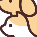 큐티댕냥 하남 본점 강아지 고양이 분양 이미지