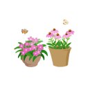 반려식물 원예아트 이미지