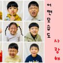 가을 숲으로 놀러가자 이미지