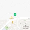 용인대 푸르미르 태권도 이미지