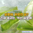 삼영 농장 | 피부에만 바르지 마세요 │ 의사들이 말하는 먹는 알로에 효과
