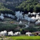 산너머남촌에는 이미지