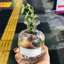 곽살롱 이미지