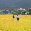 구례군청소년수련원 이미지