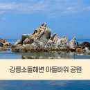 바위공원 | 어린아이들 놀기좋은 강릉 소돌해변! 아들바위공원 다녀온 후기