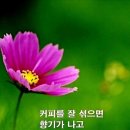 Der lindenbaum/Aida Garifullina &amp; Zoltán Mága - Elegie/A Time For Us 외1 이미지