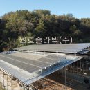 원호 태양광발전소 네이버블로그