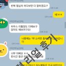 댕집사장 포메라니안 이미지