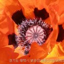 밝은마음 정신건강의학과의원 이미지