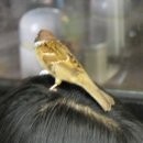 유경동물병원 이미지