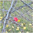 경식농장 | 남자들의 자격_ 홍성6