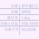 강남애니펫샵 이미지