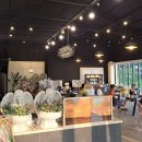 올 어라운드 이미지