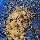 산본1동주민센터 이미지