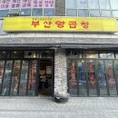 안양 소곱창 맛집 부산양곱창｜곱이 꽉 찬 소곱창에 감탄